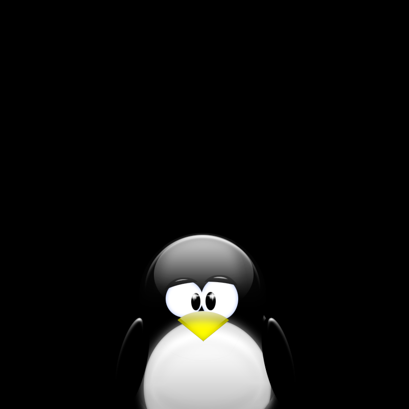 Exploiting SUID Executables