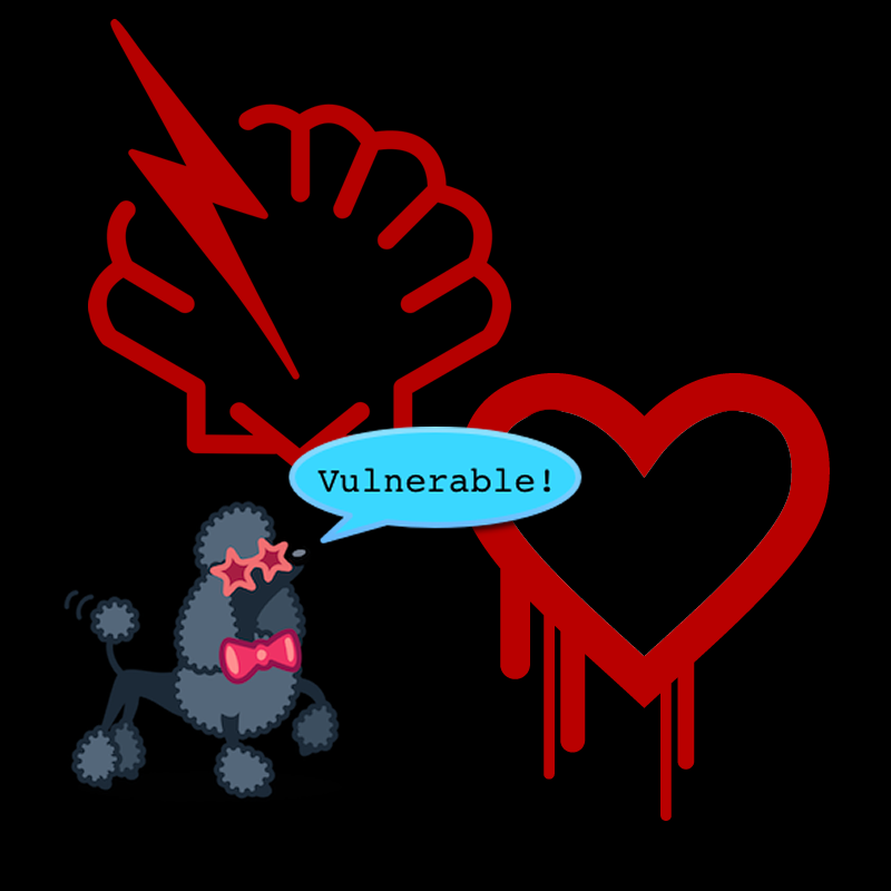 Why I hate named vulnerabilities