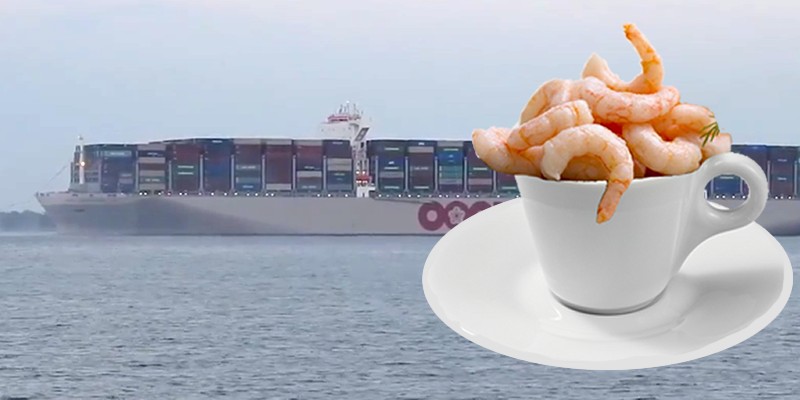 Making prawn espressos, or hacking ships by deciphering BAPLIE EDIFACT messaging