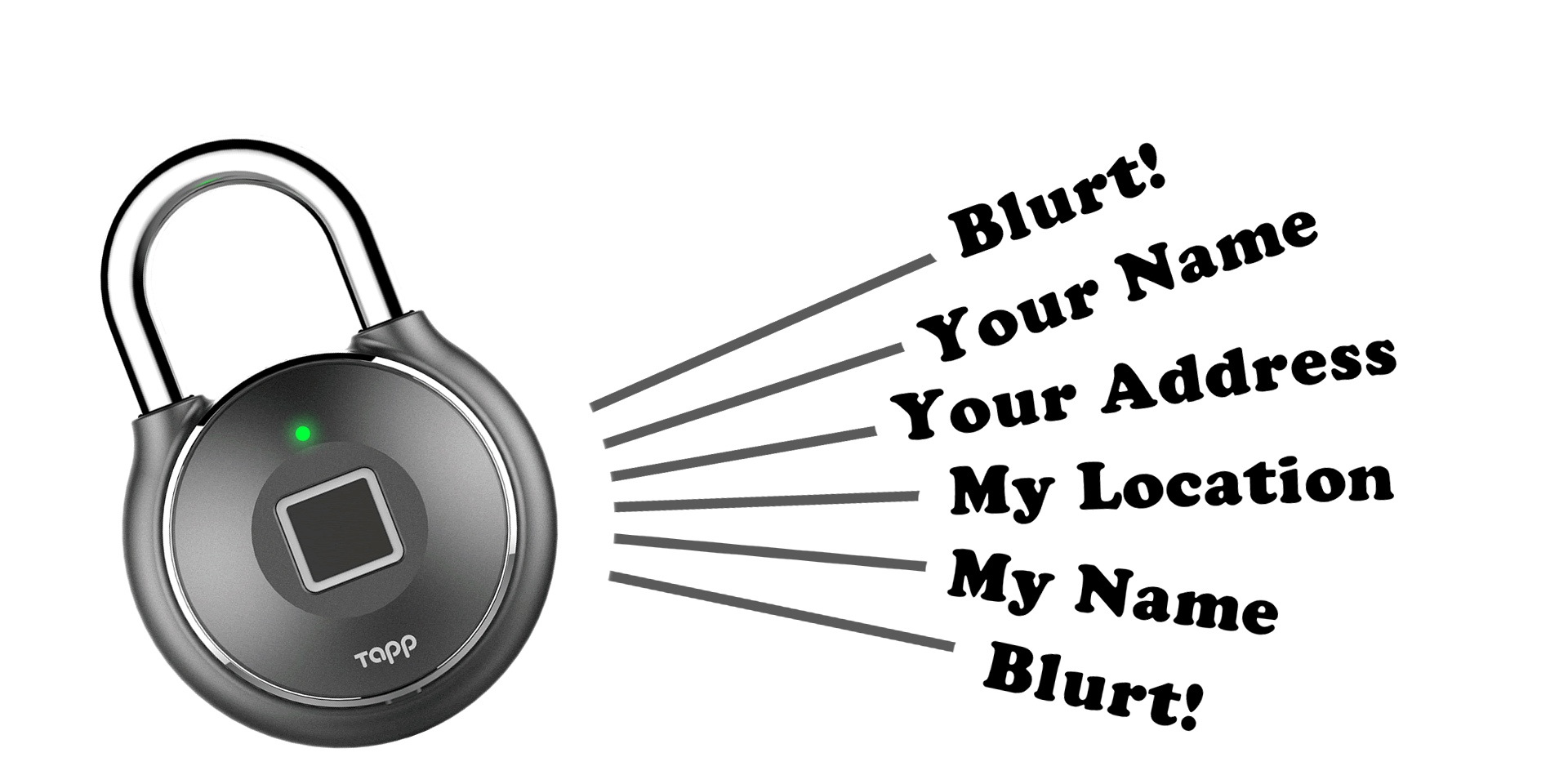 Totally Pwning the Tapplock (the API way)