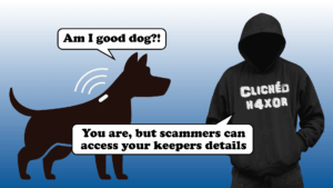 Pet microchip scams and data leaks in the UK