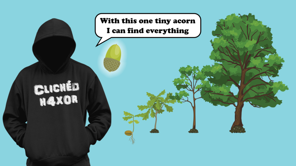 OSINT. What can you find from a domain or company name