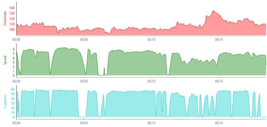 Activity Garmin Detail